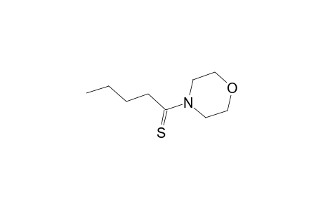 4-(PENTANETHIOYL)-MORPHOLINE