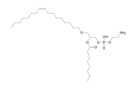 PE O-17:1_8:0