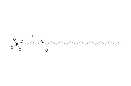 1-O-PALMITOYL-3-O-PHOSPHORYL-SN-GLYCEROL