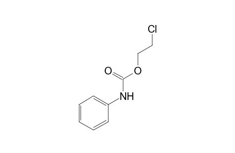 carbanilic acid, 2-chloroethyl ester