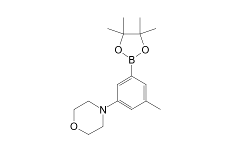 3-(N-MORPHOLINO)-5-(4,4,5,5-TETRAMETHYL-1,3,2-DIOXABOROLYL)-TOLUENE