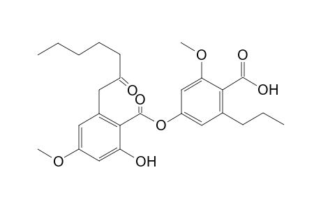 4-[2'-hydroxy-4'-methoxy-6'-(2''-oxopentyl)benzoyloxy]-2-methoxy-6-pentylbenzoic acid