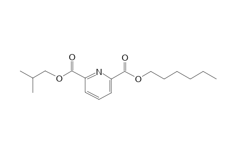 2,6-Pyridinedicarboxylic acid, hexyl isobutyl ester