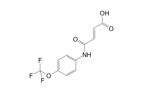 4-Oxo-4-[4-(trifluoromethoxy)anilino]-2-butenoic acid