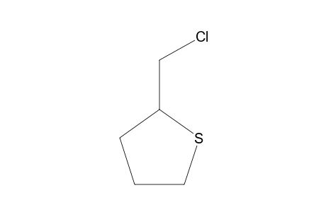 2-Chloromethyl-tetrahydro-thiophene