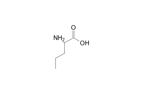 norvaline