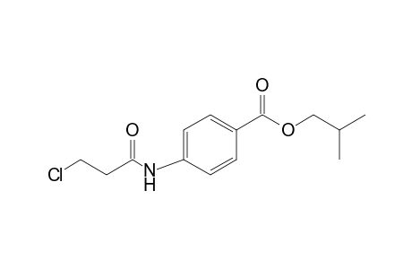 4-(3-chloropropionamido)benzoic acid, isobutyl ester