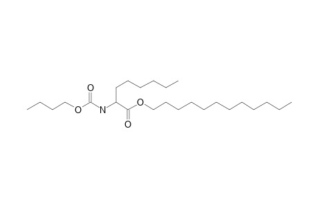 2-Aminocaprylic acid, N-butoxycarbonyl-, dodecyl ester