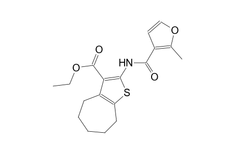 ethyl 2-[(2-methyl-3-furoyl)amino]-5,6,7,8-tetrahydro-4H-cyclohepta[b]thiophene-3-carboxylate