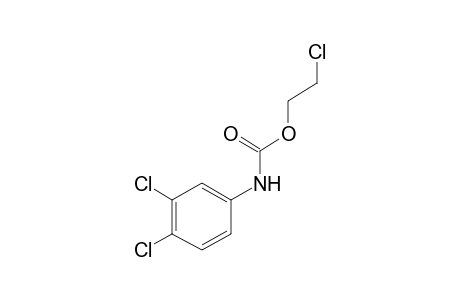 3,4-dichlorocarbanilic acid, 2-chloroethyl ester