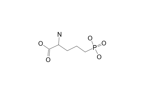 2-amino-5-phosphono-valeric acid