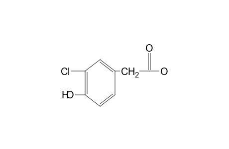 3-Chloro-4-hydroxyphenylacetic acid