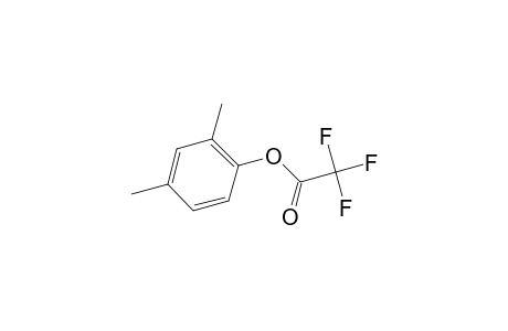 Acetic acid, trifluoro-, 2,4-dimethylphenyl ester