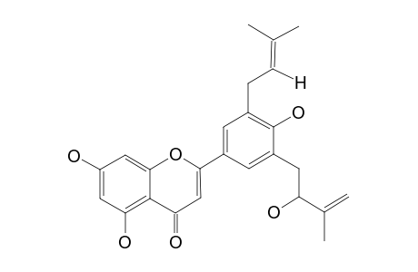 Yinyanghuo B