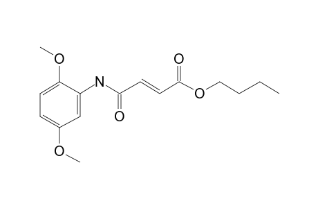 Fumaric acid, monoamide, N-(2,5-dimethoxyphenyl)-, butyl ester