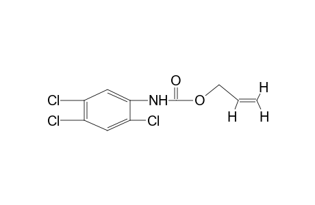 2,4,5-trichlorocarbanilic acid, allyl ester