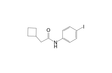 2-Cyclobutyl-N-(4-iodo-phenyl)-acetamide