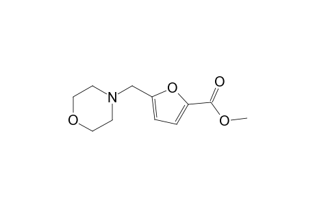 5-(morpholinomethyl)-2-furoic acid, methyl ester