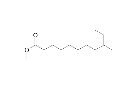 Methyl 9-methylundecanoate