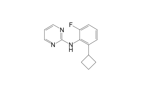 N-(2-Cyclobutyl-6-fluorophenyl)pyrimidin-2-amine