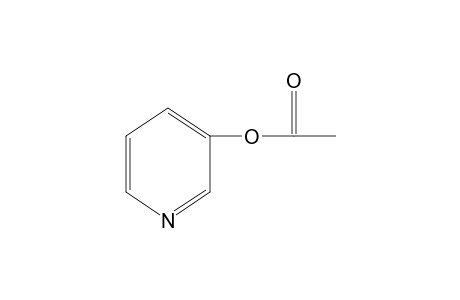 3-Pyridinol, acetate (ester)