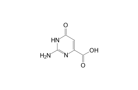 2-AMINO-6-HYDROXY-4-PYRIMIDINECARBOXYLIC ACID