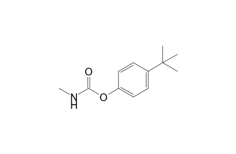 Methylcarbamic acid, p-tert-butylphenyl ester