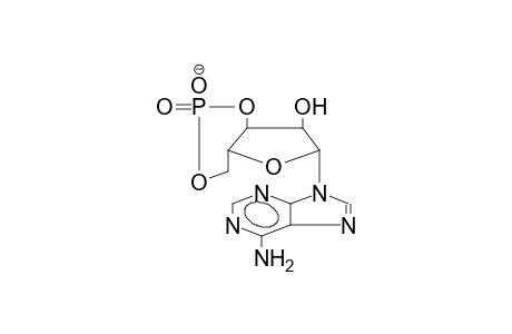 ADENOSINE 3',5'-CYCLIC MONOPHOSPHATE ANION