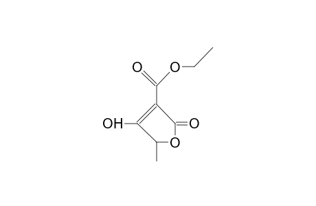 3-Ethoxycarbonyl-5-methyl-tetronic acid