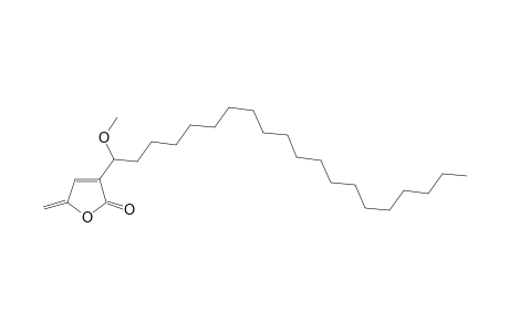 TENUIFOLIDE_B;3-(1-METHOXYEICOSYL)-5-METHYLENE-5-H-FURAN-2-ONE