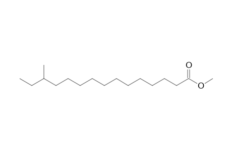 Pentadecanoic acid, 13-methyl-, methyl ester