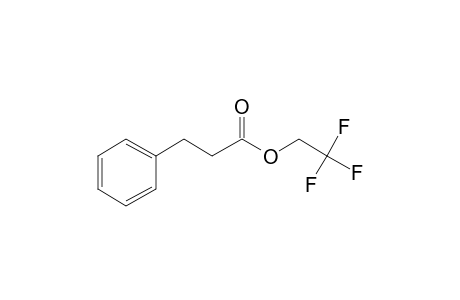 3-Phenylpropionic acid, 2,2,2-trifluoroethyl ester