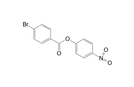 p-bromobenzoic acid, p-nitrophenyl ester