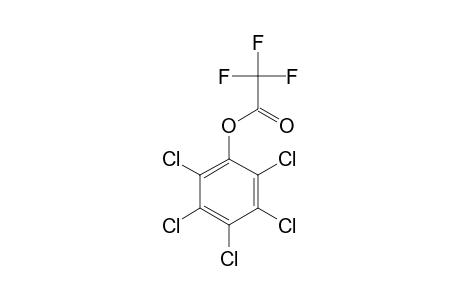 Pentachlorophenol, o-trifluoroacetyl-