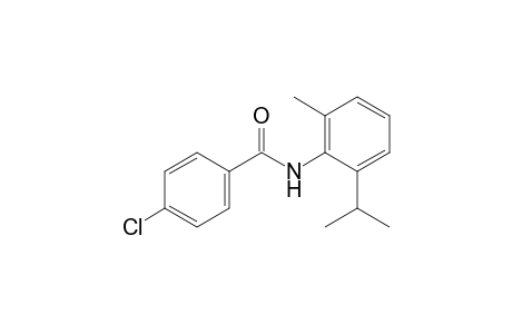 4-chloro-6'-isopropyl-o-benzotuidide