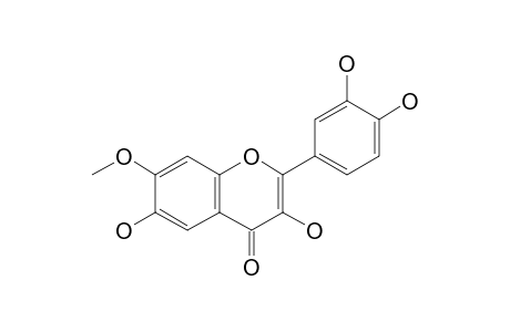 3,3',4',6-TETRAHYDROXY-7-METHOXYFLAVONE