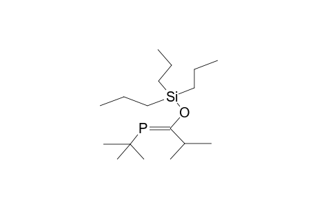 E-1-TERT-BUTYL-2-ISOPROPYL-2-TRIPROPYLSILOXY-1-PHOSPHAETHENE