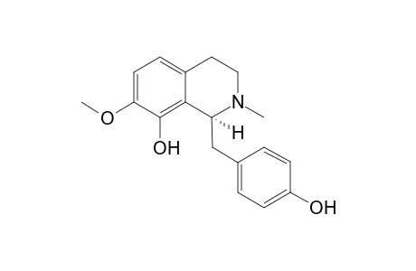 Juziphine