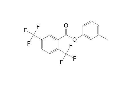 2,5-di(Trifluoromethyl)benzoic acid, 3-methylphenyl ester