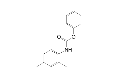 2,4-dimethylcarbanilic acid, phenyl ester