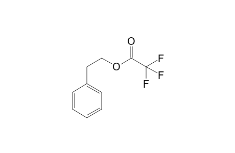 trifluoroacetic acid, phenethyl ester