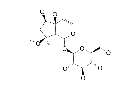 8-O-METHYL-HARPAGIDE