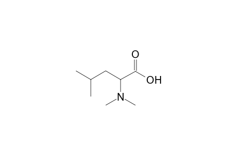 2-(dimethylamino)-4-methyl-pentanoic acid