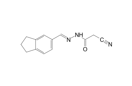 cyanoacetic acid, [(5-indanyl)methylene]hydrazide