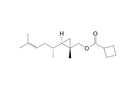 cyclobutane carboxylic acid[(1S*,2R*)-1-methyl-2-((R*)-5-methylhex-4-en-2-yl)cyclopropyl)]methyl