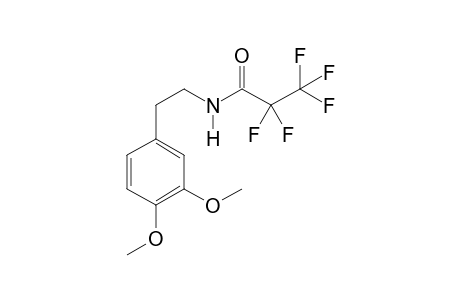 3,4-Dimethoxyphenethylamine PFP