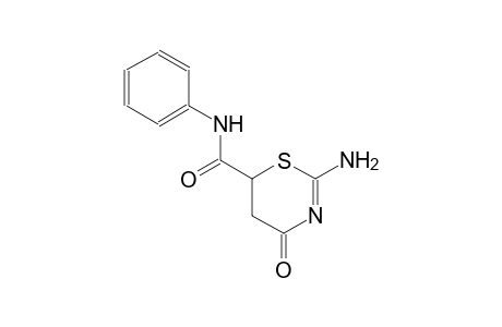 2-amino-4-oxo-N-phenyl-5,6-dihydro-4H-1,3-thiazine-6-carboxamide