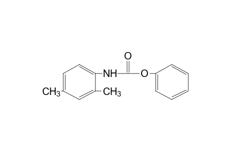 2,4-dimethylcarbanilic acid, phenyl ester