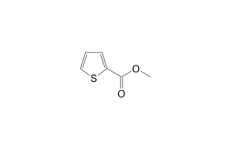 2-Thiophenecarboxylic acid methyl ester