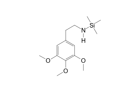 Mescaline TMS